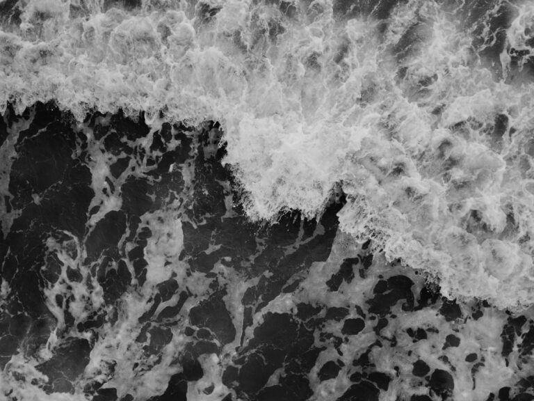 img3.jpg alt text